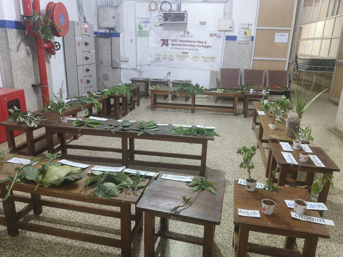 ESIC Fortnight Day celebration